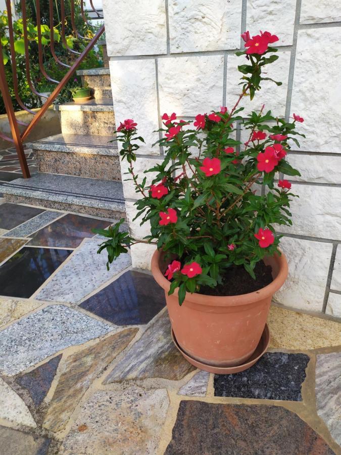 Apartments Samodol Vodice Exterior foto